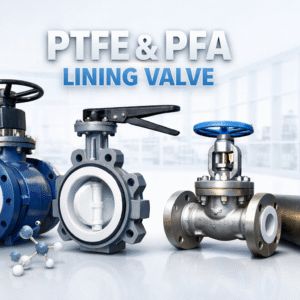 Lined Valve and Component